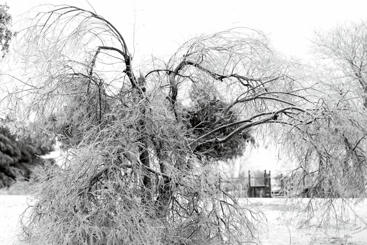 Dallas Wedding Photographers - K & S Photography